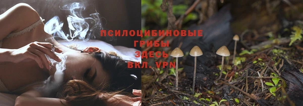 твердый Киреевск