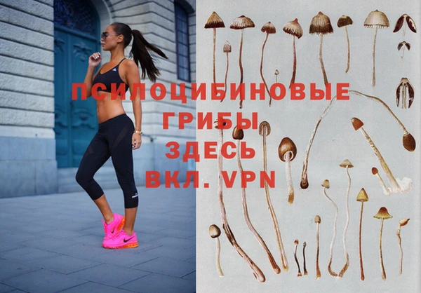 эйфоретик Козловка