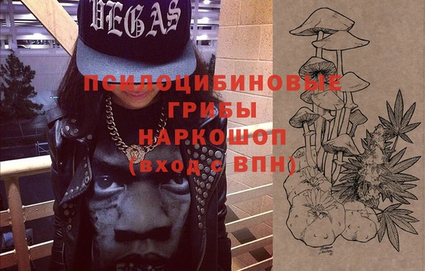 герыч Козельск