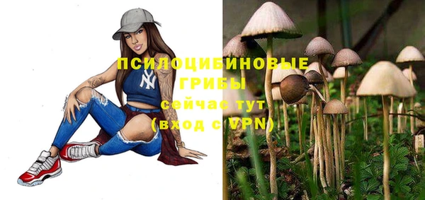 герыч Козельск