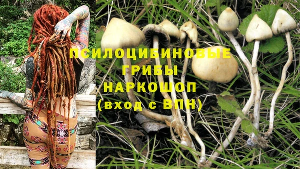 эйфоретик Козловка